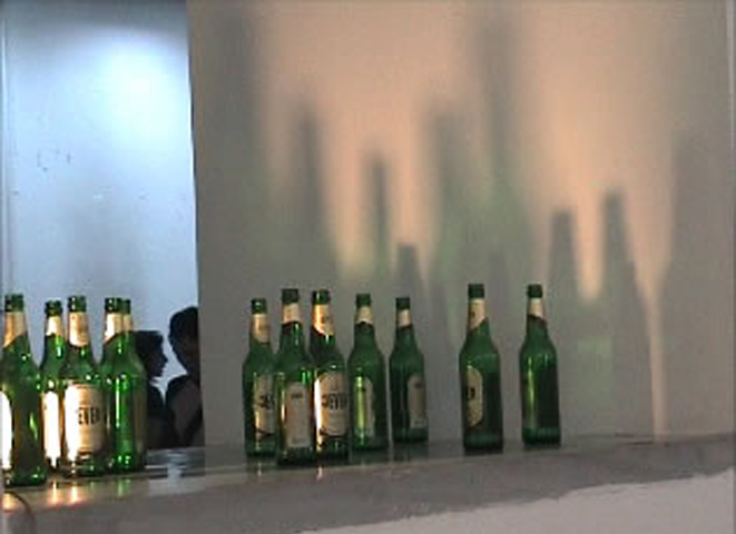 Kirsten K&ouml;tter: Deutscher Wald, 2001, Installation