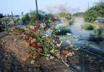 Kirsten K&ouml;tter: Site-specific Painting, Kibbuz Lotan, 2008