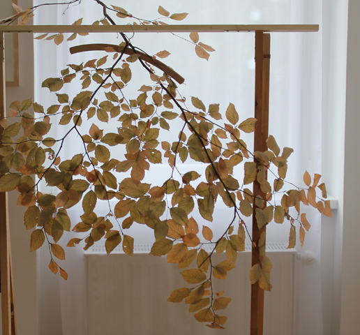 Kirsten K&ouml;tter: Installation zum 'Organischen Archiv' mit getrocknetem Ast bei den 'Open Doors' basis, Frankfurt, 2012