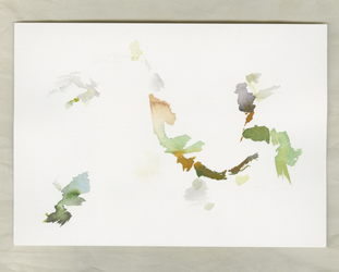 Site-specific Research Nature. Kevo Subarctic Research Institute Utsjoki, Finland von Kirsten K&ouml;tter, Videostill, Ausschnitt, Detail