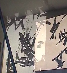 Kirsten K&ouml;tter: Immaterielles Design, 1999/2001, Projektion von Samen und Bl&uuml;tenbl&auml;ttern, zwischen Glas von Diarahmen gepresst