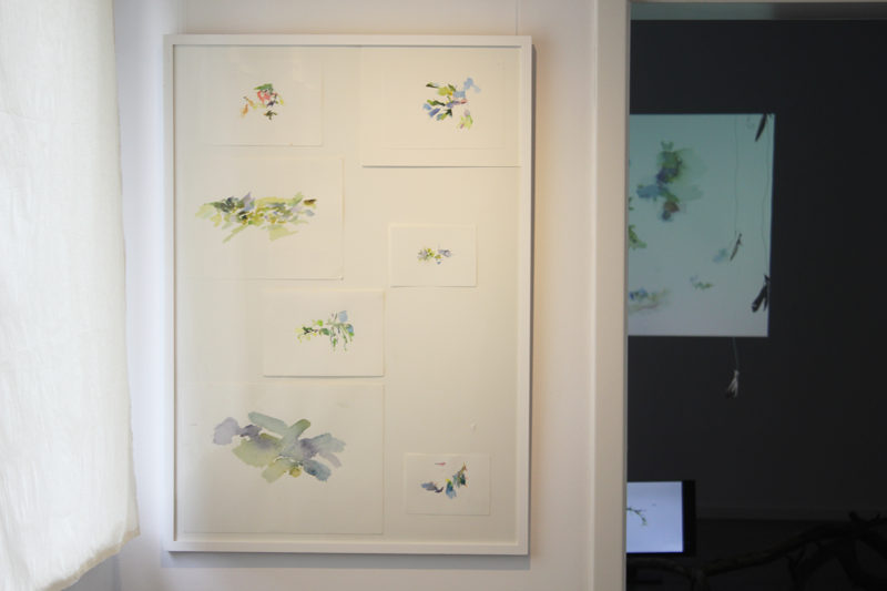 Kirsten Kötter: Natur-Aquarell-Musik-Sound_Protokolle im Haus 104, ehemalige Wetterstation auf dem Tempelhofer Feld, Berlin,
  28.-30.06.2024. Exhibition view