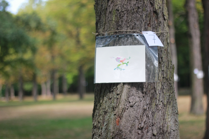 2025-08-19_malathon-chemnitz_07_Baum_2990 (Kirsten Kötter)