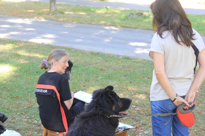 2025-08-19_malathon-chemnitz_10_hund-frau_2834 (Kirsten Kötter)