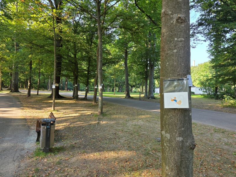 2025-08-20_malathon-chemnitz_29_ua_Baum_20250820_181704 (Kirsten Kötter)