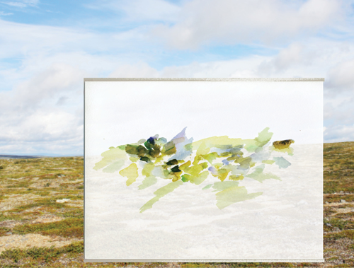 2016-07-17_69-8035_27-1656_gardoaivi_dm, water colour, 24 &times; 32 cm, photo, digital montage (Kirsten Kötter)